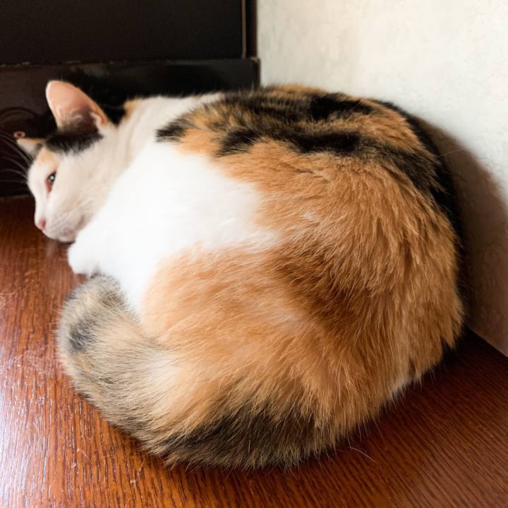 B1e1dbec e693 4562 9d0f 4dbae47ef55e 1572227922208