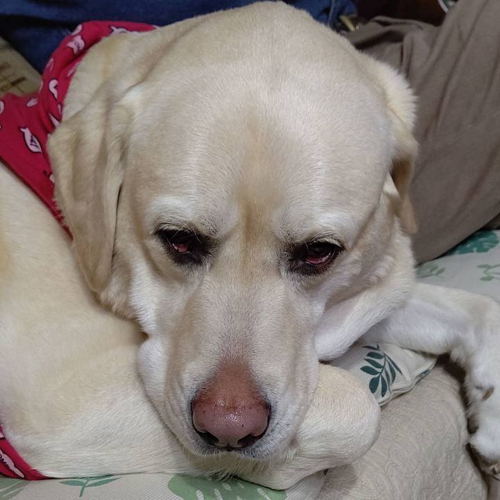 B1e1ee3b 4ef1 45a0 9e7d c65e3bc52afc 1645699999189