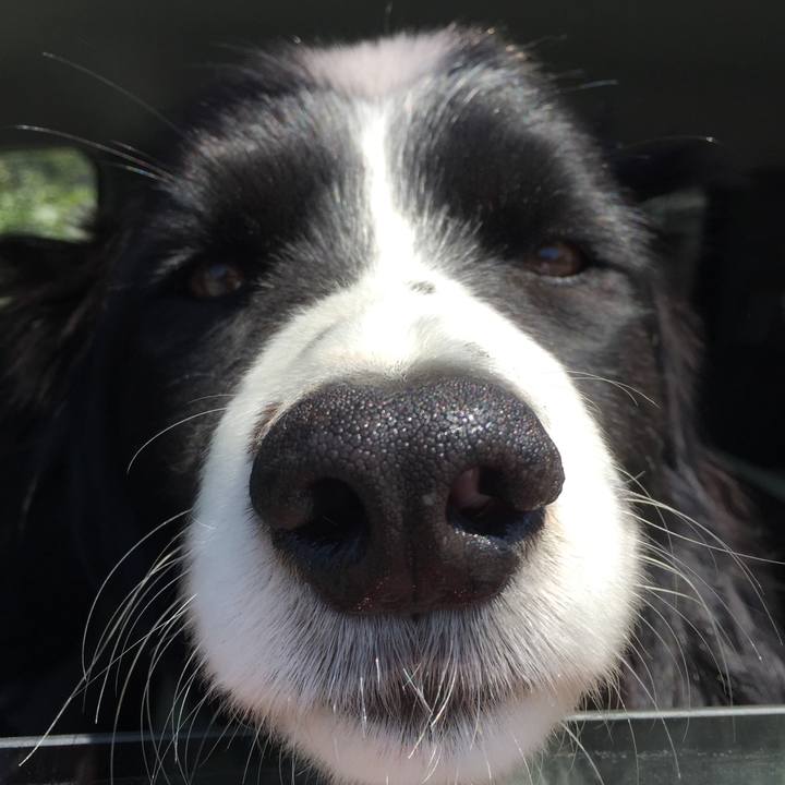 B1e1ef17 e10b 4997 9b94 6caf09750644 1555302569495