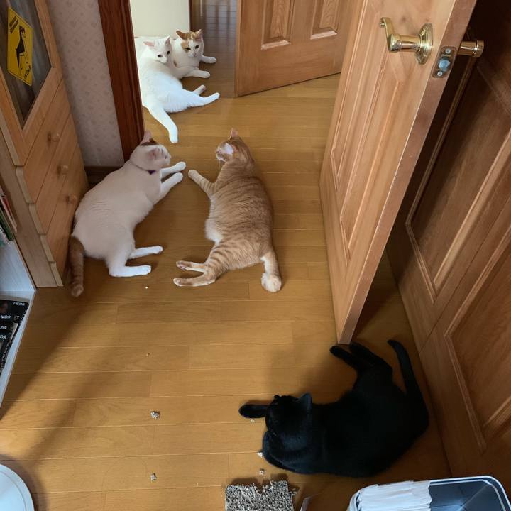 B1e201a9 318e 4ae5 bc16 ae8275e720d3 1563835153069