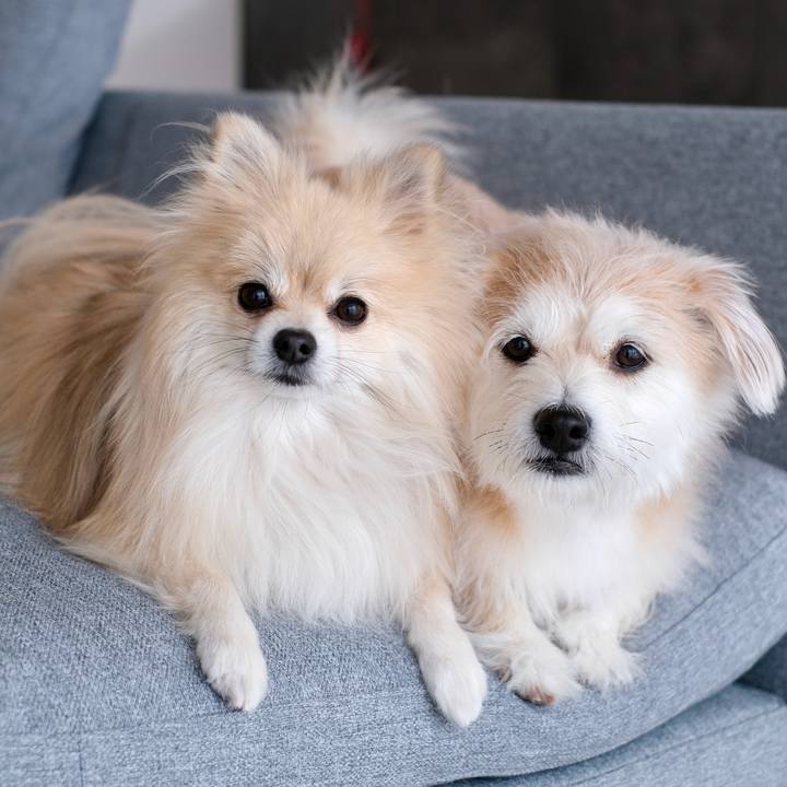 B1e23a08 7dba 4eaa 8cf4 f68bc3063234 1767999983969