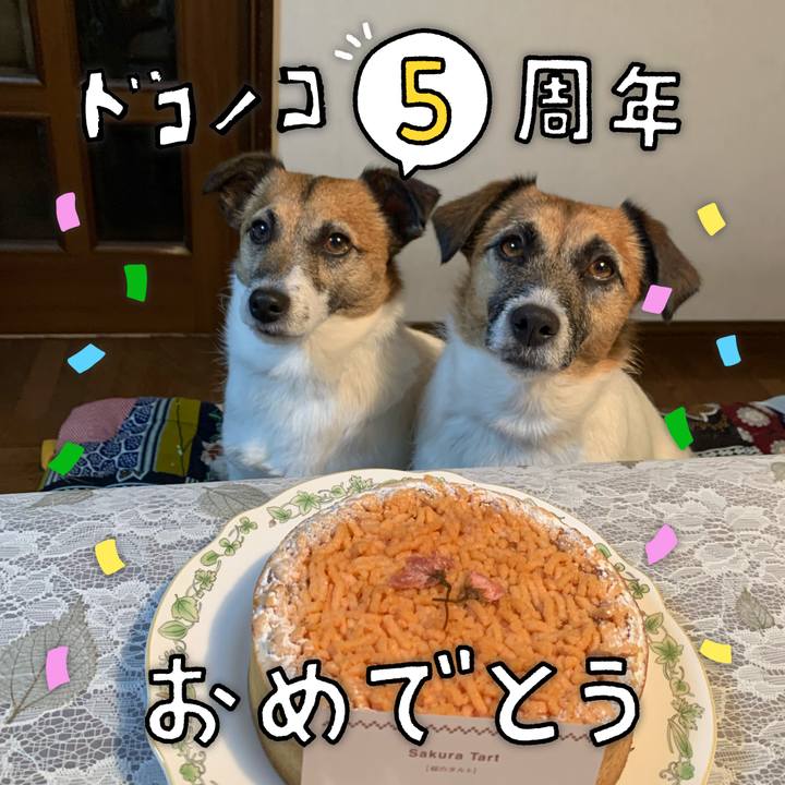 B1e24371 6daa 4001 833b 53310c4f476d 1622894969371