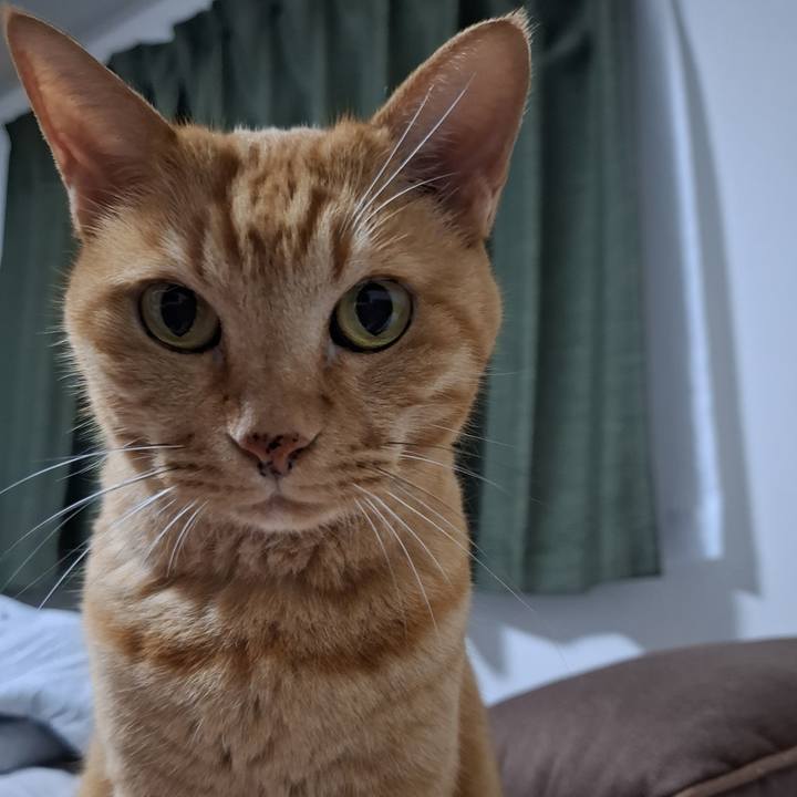 B1e28083 9734 4457 bf60 53c2ab1f8596 1725505874627