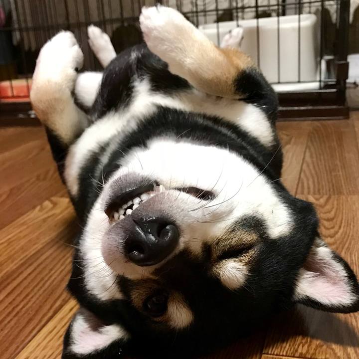 B1e2898d c56f 4149 aa45 fc062cb61860 1508762061861