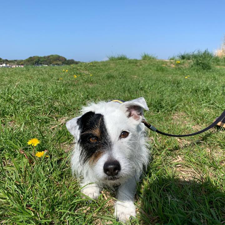 B1e28dc7 c98d 4ad6 a972 938a77884c93 1649722404114