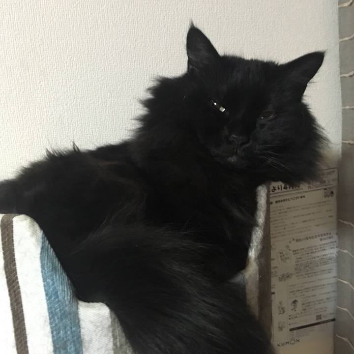 B1e2c3d0 d96f 4b10 b1f3 7cb4fabbdcac 1554136253610