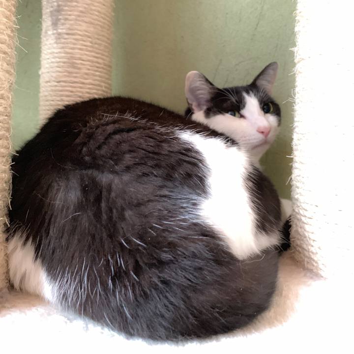 B1e2d82c fee7 48fc bcab d0f18cbbaac8 1567993909211