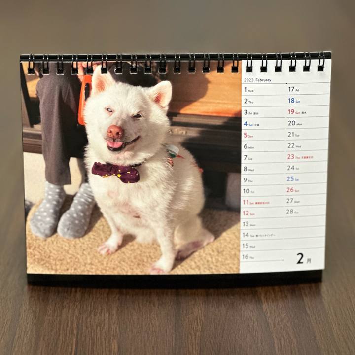 B1e2e2a7 2cb8 429c 9860 fd0d23e1dbd7 1675258513933