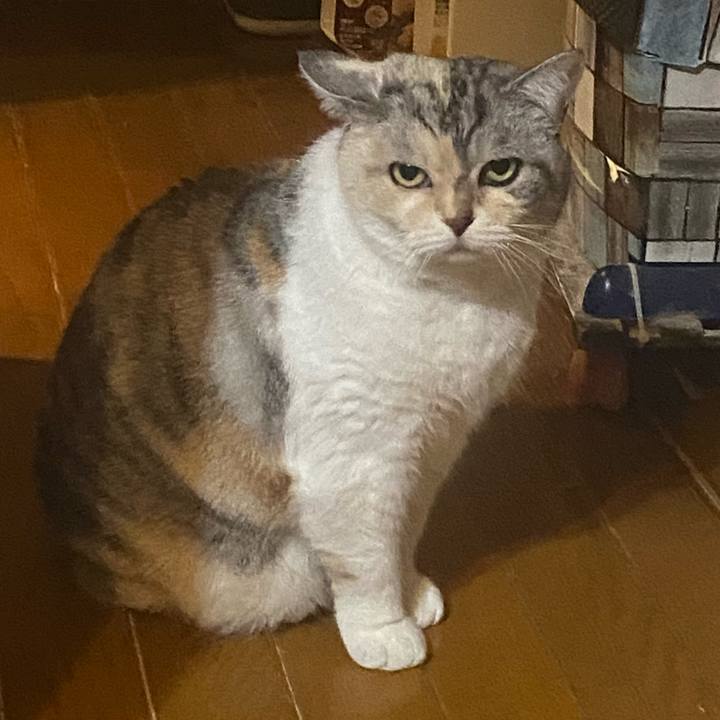 B1e305b5 c4ef 4594 aa31 8eb7551aa728 1742311095102