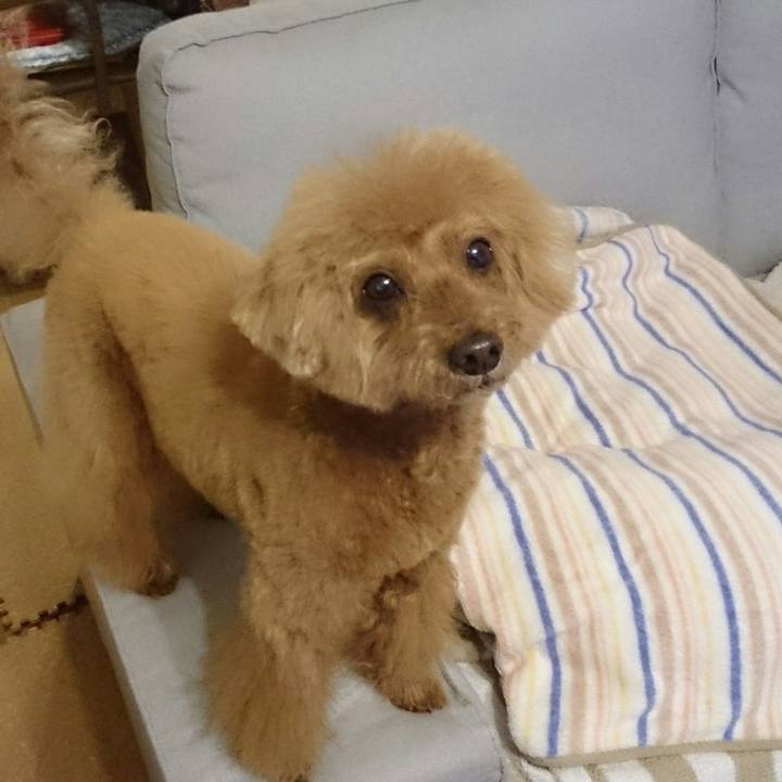 B1e34f61 443a 470f a859 28db66224789 1522064571780