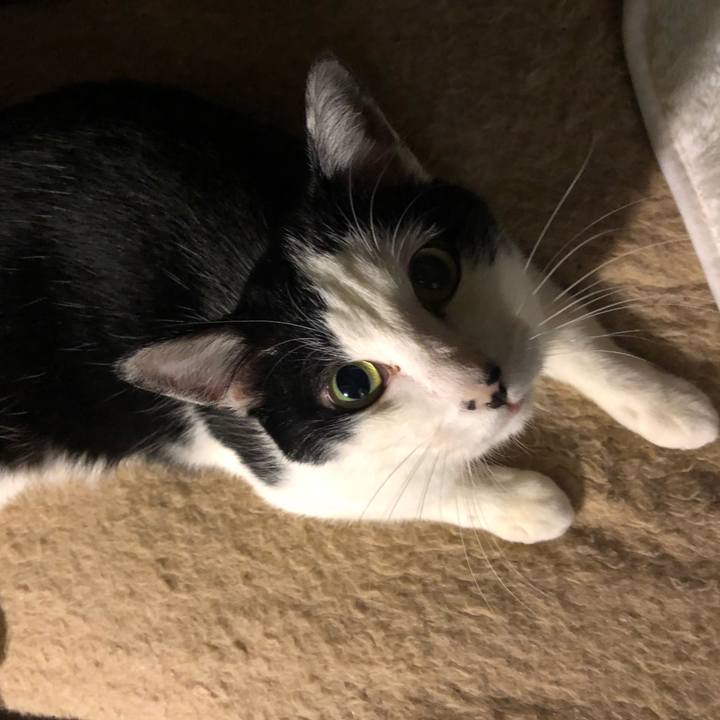 B1e3505e c81c 412d b019 32ce83c7eb5d 1546857732841