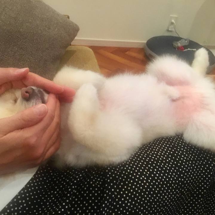 B1e3752d 72a4 4a1f bf07 4b2401aeef73 1562541908947