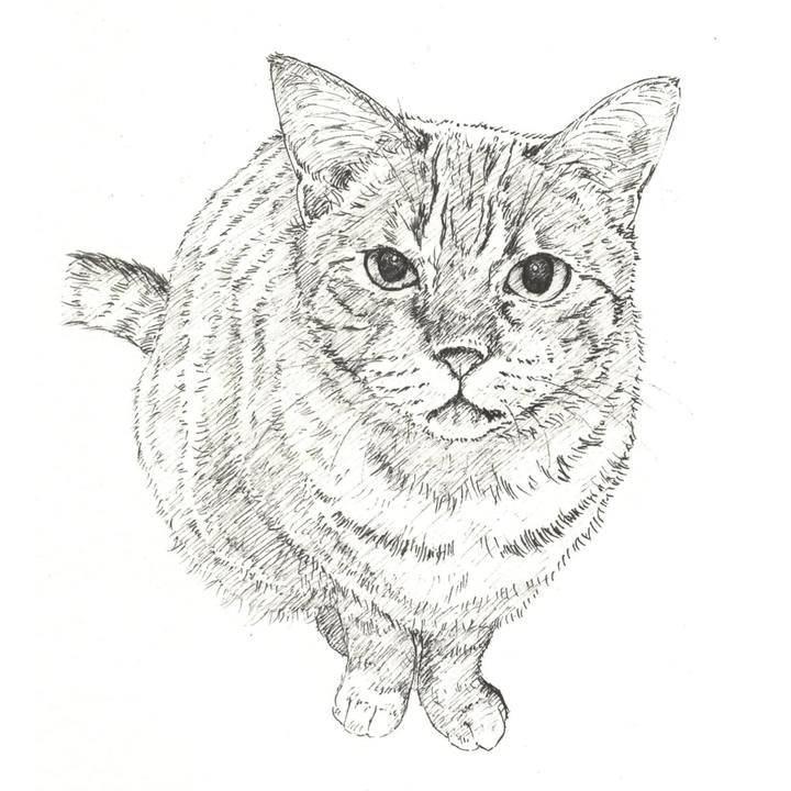 B1e3e691 a2c2 4952 b861 c2ccb82ff32f 1576852601148