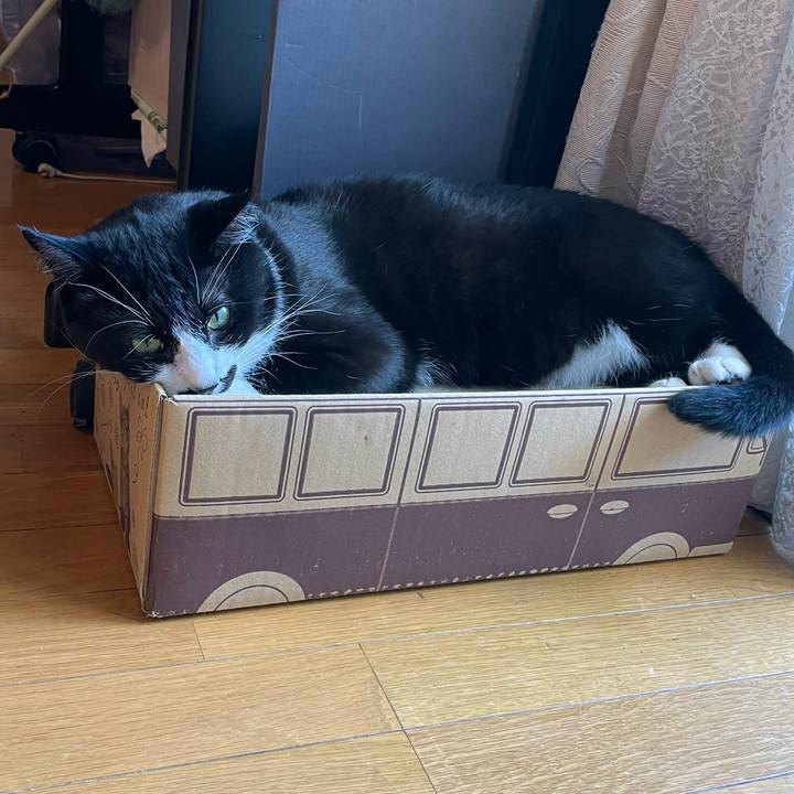 B1e3fca8 2871 4296 b245 0f8384be8559 1652928800600