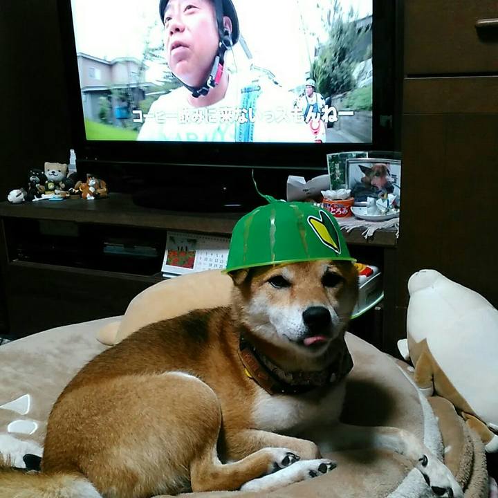 B1e3fcf9 30f4 41d3 a062 a8f14ce06cd1 1537011769911