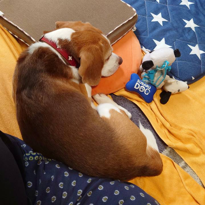 B1e3fe26 f2f4 4598 9fc4 2ea504f6a615 1728449397480