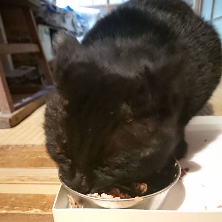 B1e414d7 a493 4642 9feb 59d50ab4c962 1615723617964