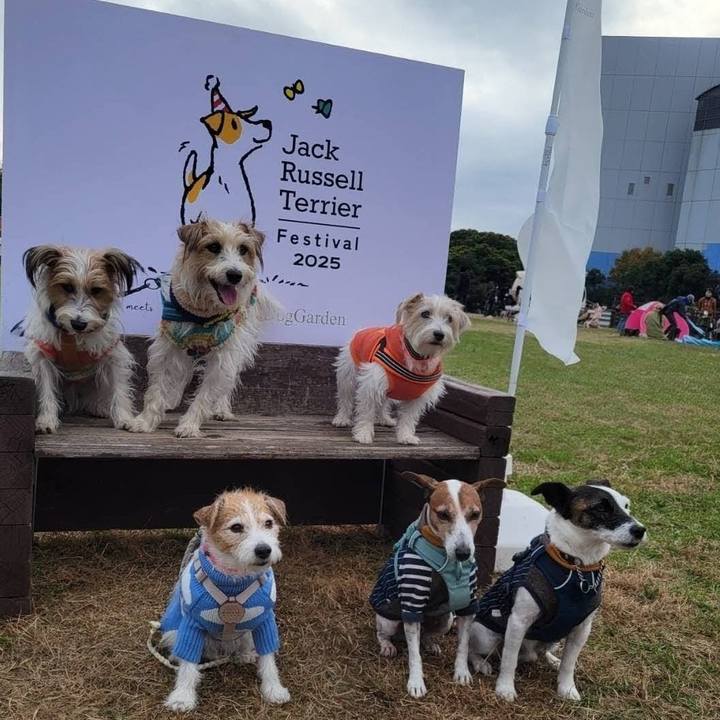 B1e43615 0242 4b82 b0f2 9609fbfdcb9e 1763964078951