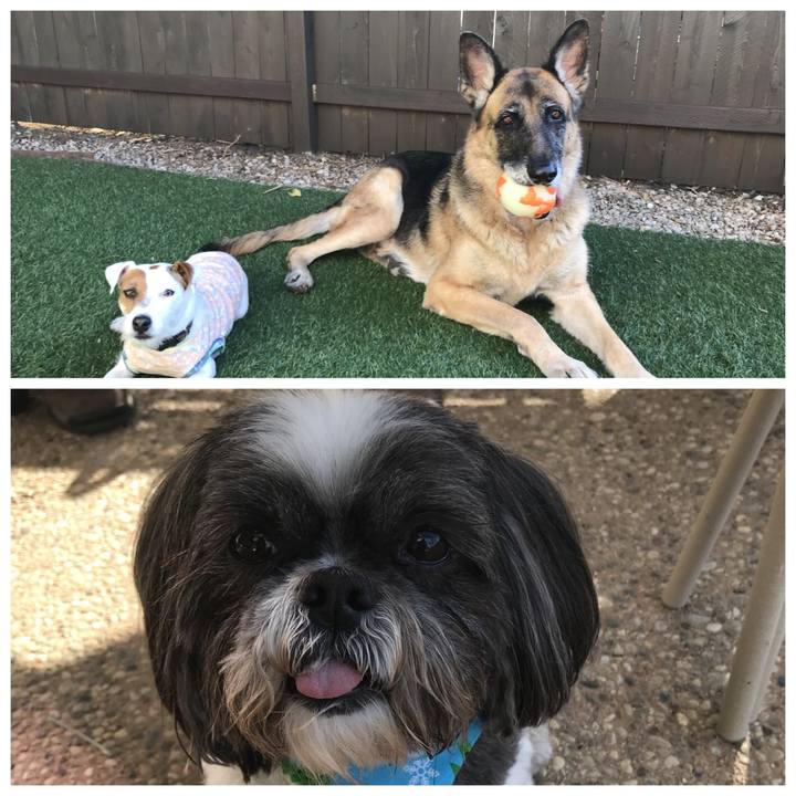 B1e43622 9bf2 4e74 af5d 6efcfdb04666 1514409960327