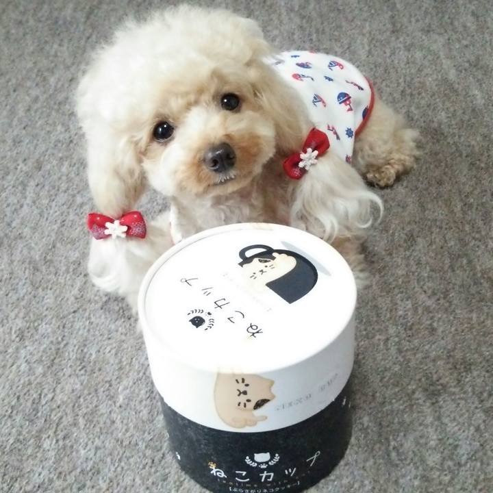 B1e45a9c 19ac 4efe 9920 f4969ce11716 1530013836603