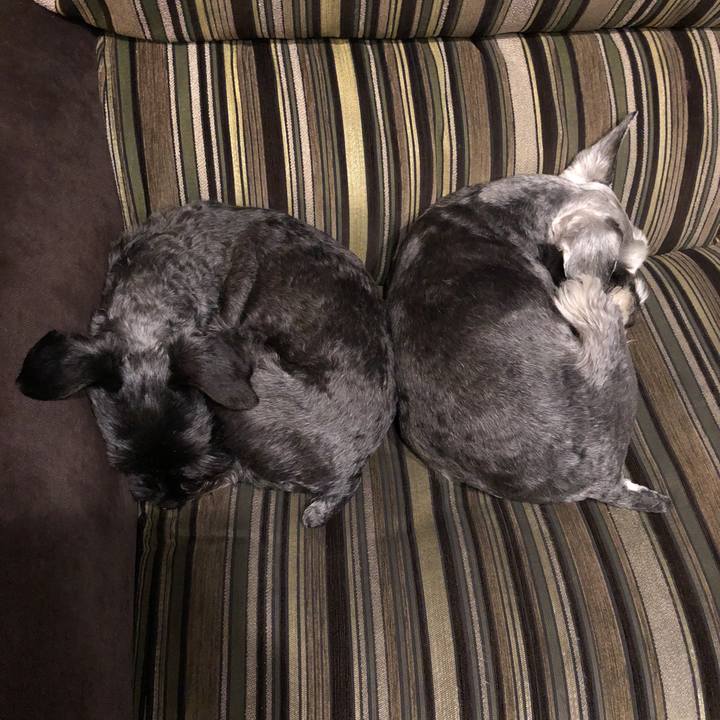 B1e45bdf 2a74 42bf 90fc bac3894837b2 1521902004433