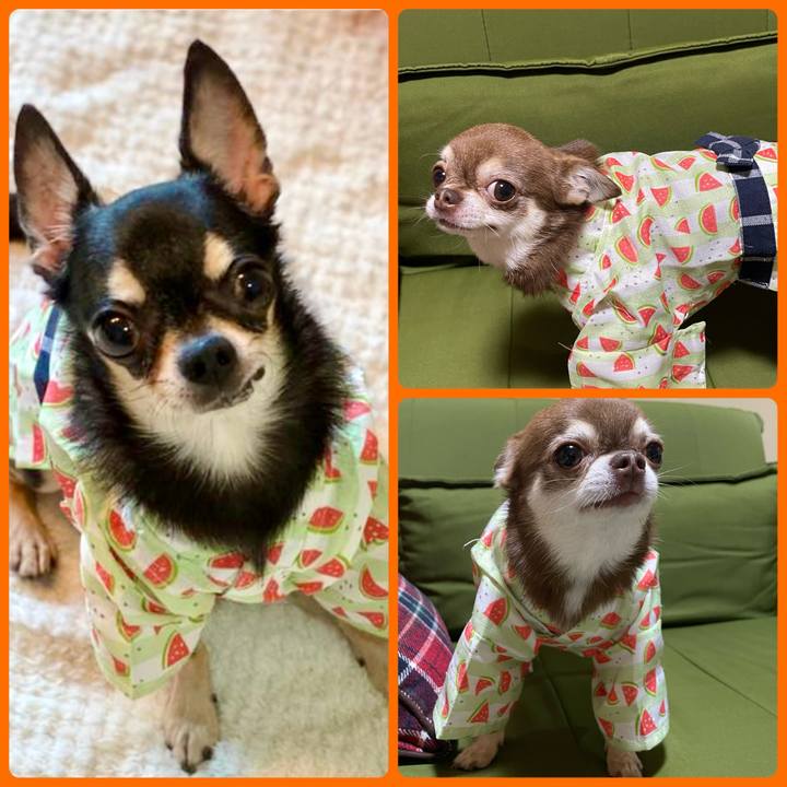 B1e47946 b375 4f72 b158 05fcb6293ef3 1719144986888