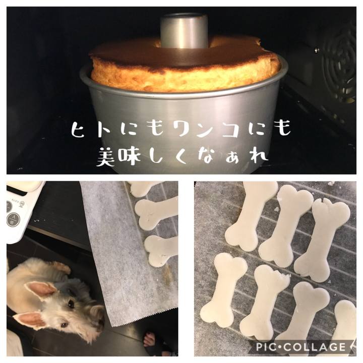 B1e4a6b6 c9dd 4594 8492 f5b2caea1ff1 1573346596510