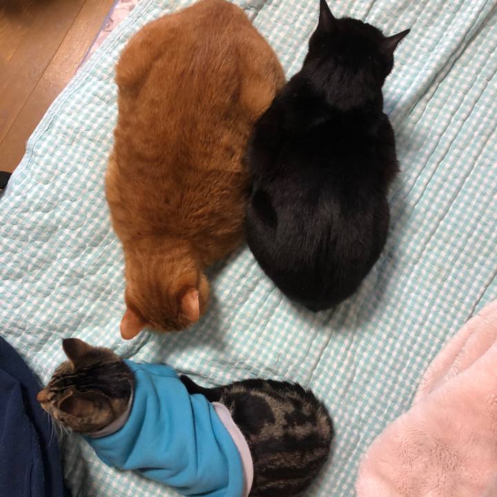 B1e4c981 6b9f 4f39 a3b9 4884c88d8263 1737757058278