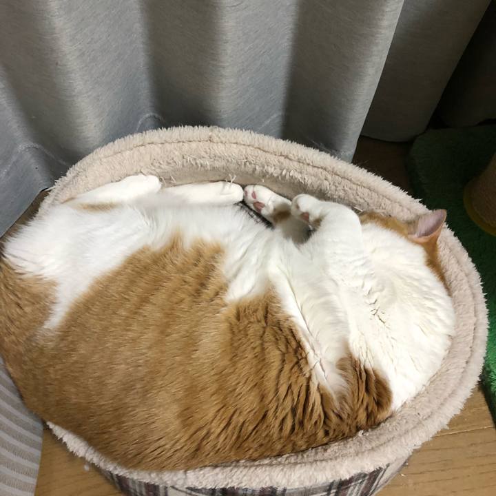 B1e4ec59 6aeb 4e2a 8e15 6796eea1e527 1549705345402