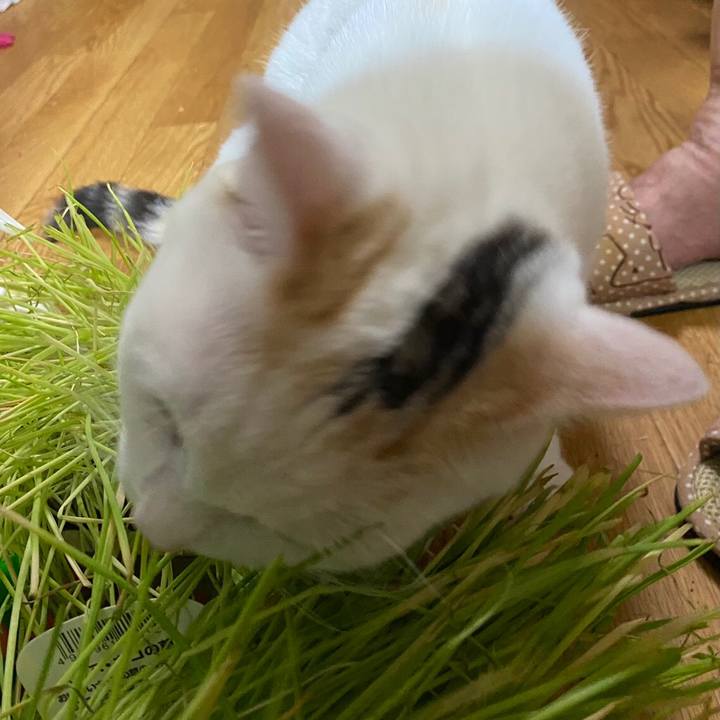 B1e504ef 9698 49cd 983b 8fe98ff26378 1623544275512