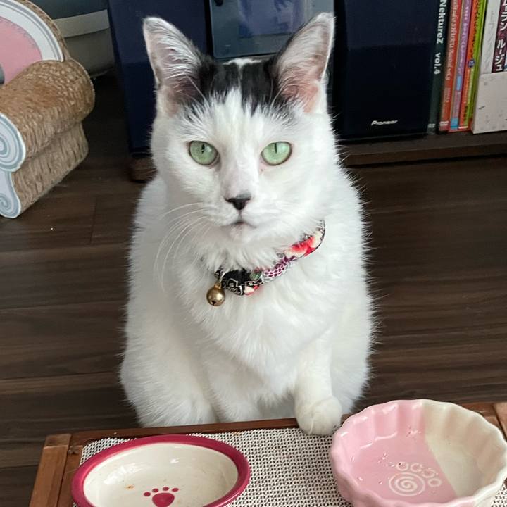 B1e5314d 75b7 4bdb b540 65e3f2677491 1700894493217