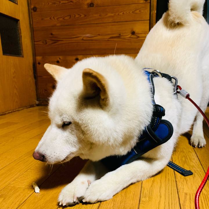 B1e53176 2649 48fc 9bf8 8df082aa31f9 1628417806262