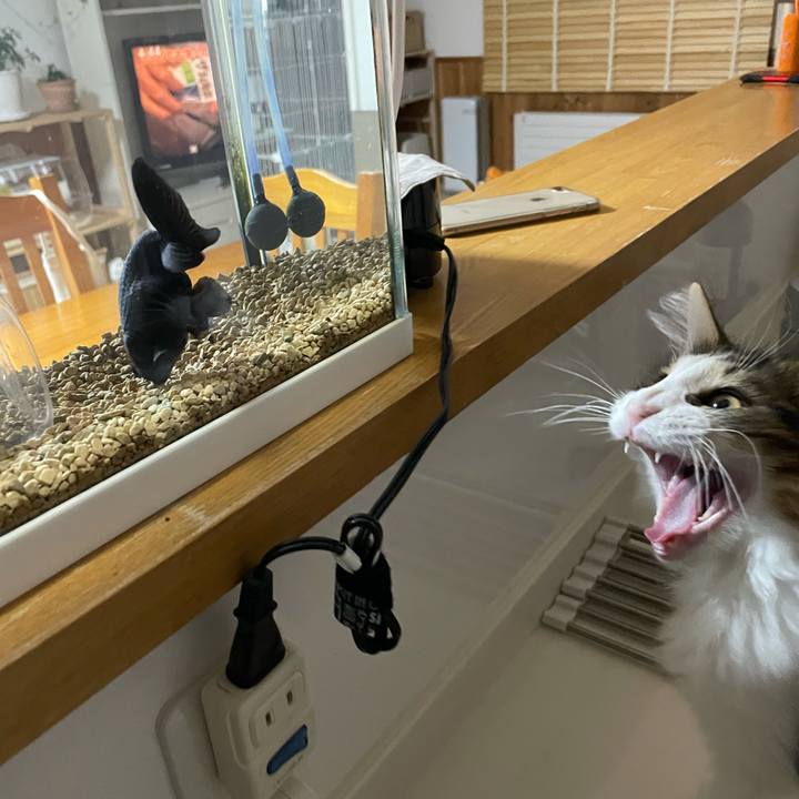 B1e54f07 36a0 411c 802d 5b26051d3d25 1635364215342