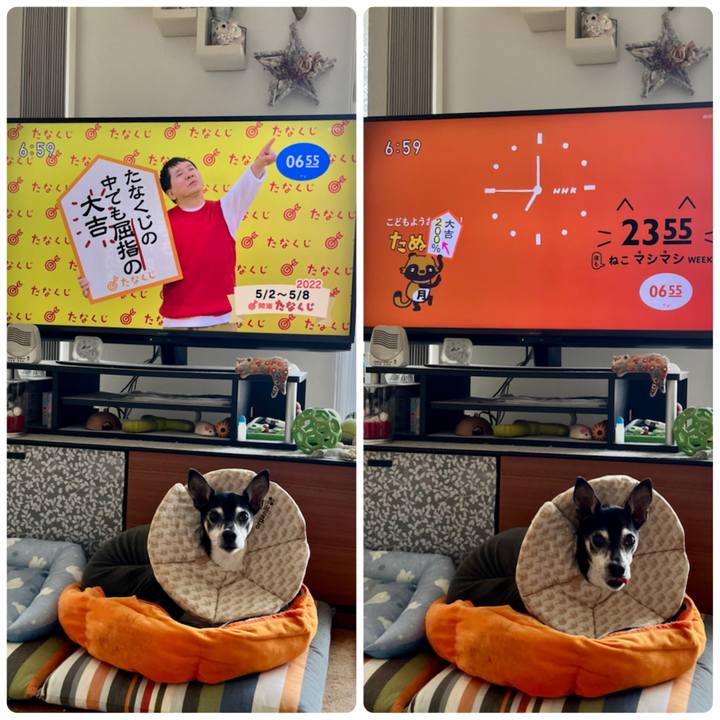 B1e578cd 28c1 4a48 a8f6 fd8e36598b90 1651443505697