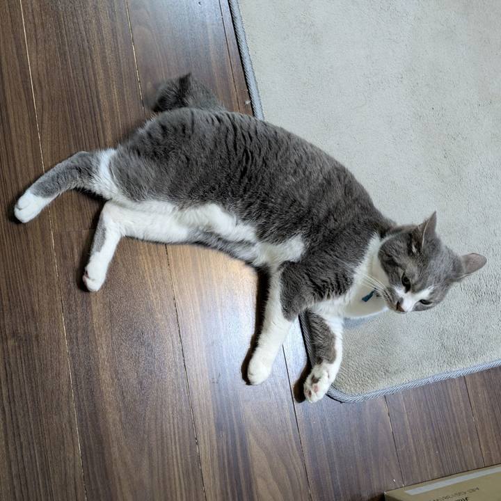 B1e5bba7 a4e6 4e32 9b3d 12bc9bfdd140 1772374831785