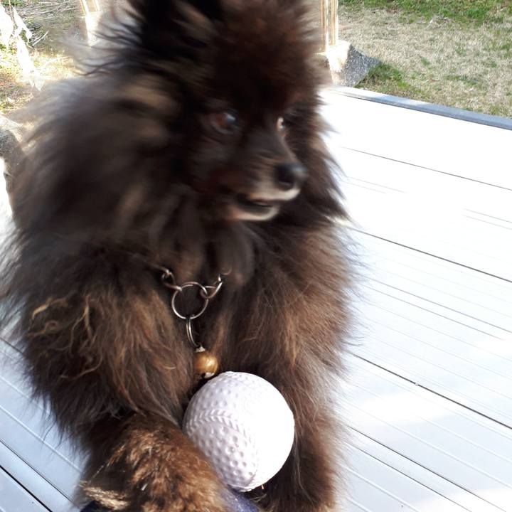 B1e5df84 f754 40d0 ad0b e1e7d17eb313 1516862404117