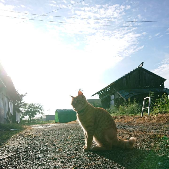 B1e5f4bc 2a94 49ba 9efb f3e5df8bcbea 1658093616705