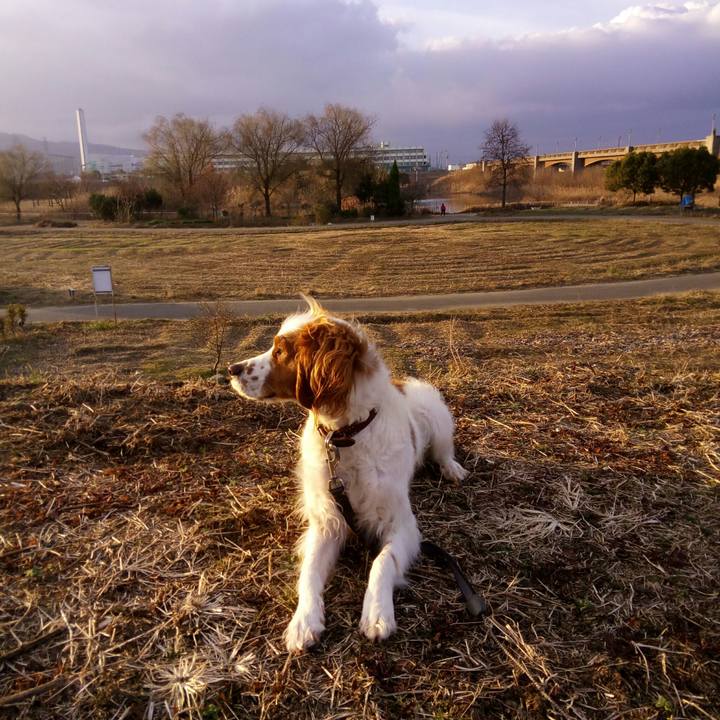 B1e5f9e7 c904 4767 9cab 8703170d2ea6 1517789375482