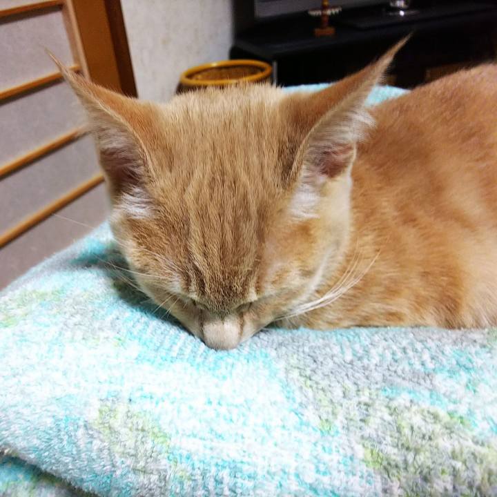 B1e5fd7a 3972 4ac9 a384 0324cc6306e6 1544009359182