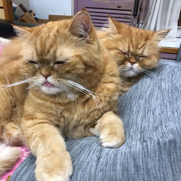 B1e5fe64 944a 44c5 8253 c25f09ea7657 1645485422196