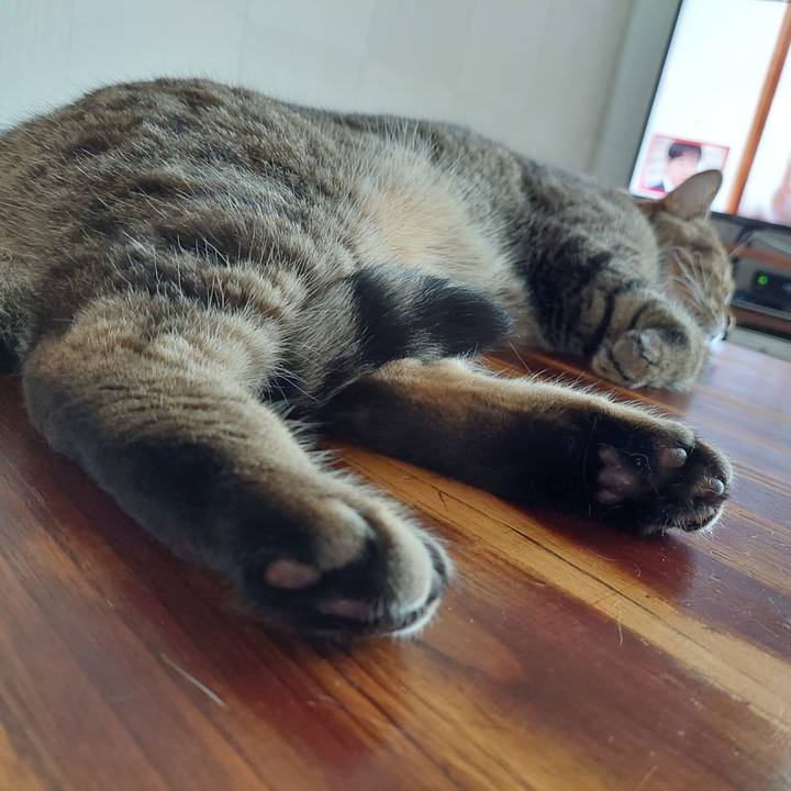 B1e65f06 9569 4c96 9c2c 3b235747d678 1657148740731