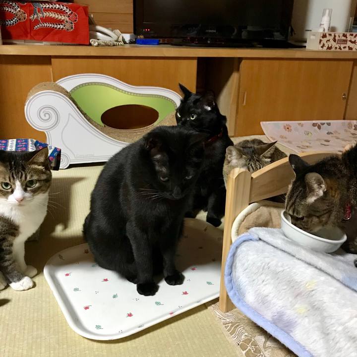 B1e66261 b708 4ddd a5e8 2bf1e43e7e14 1548942480122