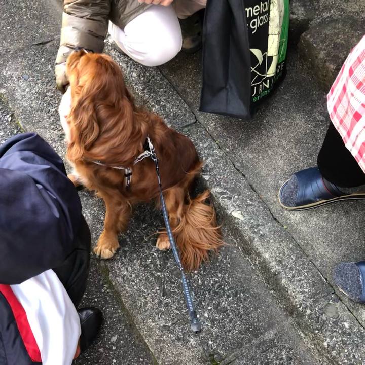 B1e67177 2ea6 4d71 8ebc 95f1b6da8920 1620091005800