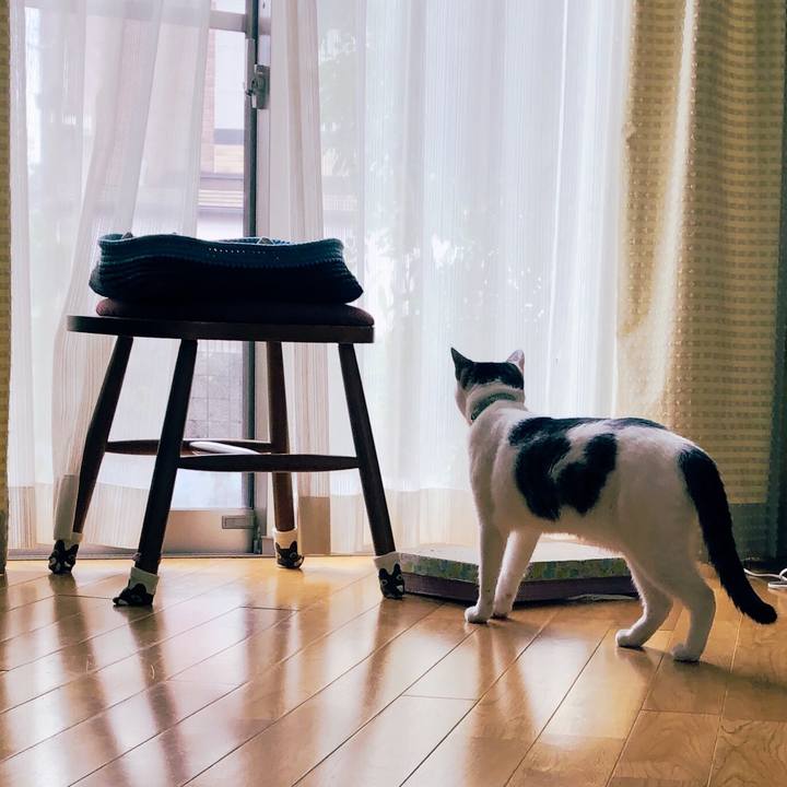 B1e675eb 79dc 4125 834f 6a25157f37f7 1594703226852