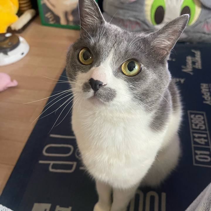 B1e68082 97e4 4bf3 88c6 478b803d3fb0 1743901557825