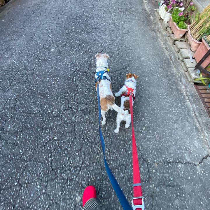 B1e6d22f e0d3 43af 93a8 1625d73ed88a 1671845107641