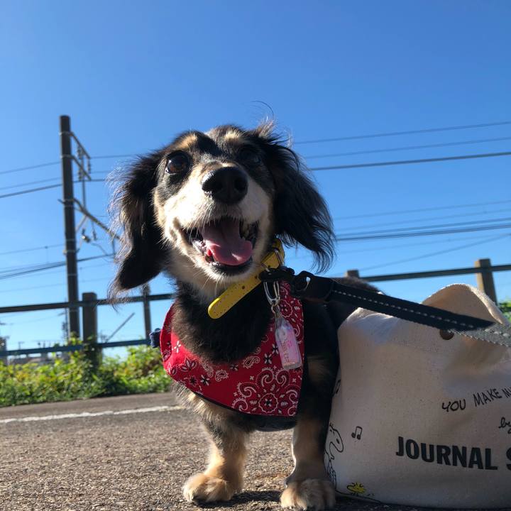 B1e6d241 ccb1 4511 bd47 6ed7ef29de45 1599263436307