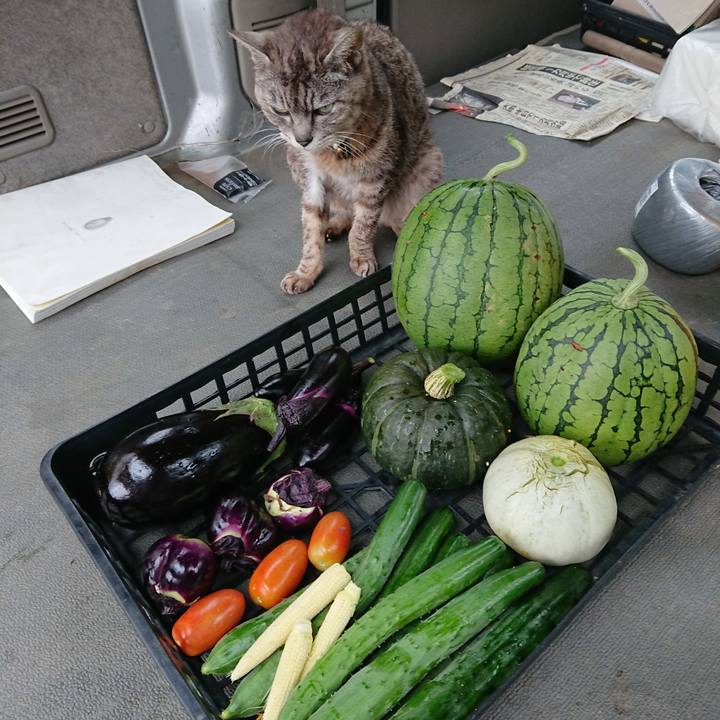 B1e6d276 4596 4661 af23 377ce4b2fcb9 1595713113015