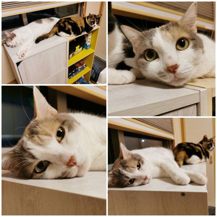 B1e6e882 6cc5 4f10 b6b6 099df7772742 1659670350555