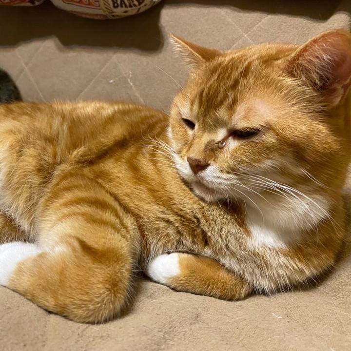 B1e6fda1 6d0c 42cb 9169 bc90438d049a 1616329796300